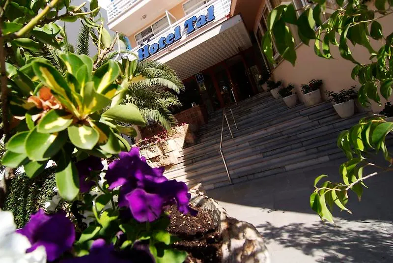 Tent Arenal El Arenal  Hotel